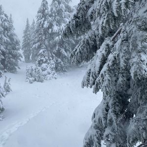 Meet your Posher, Josh